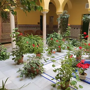 Centro De Historico Appartement
